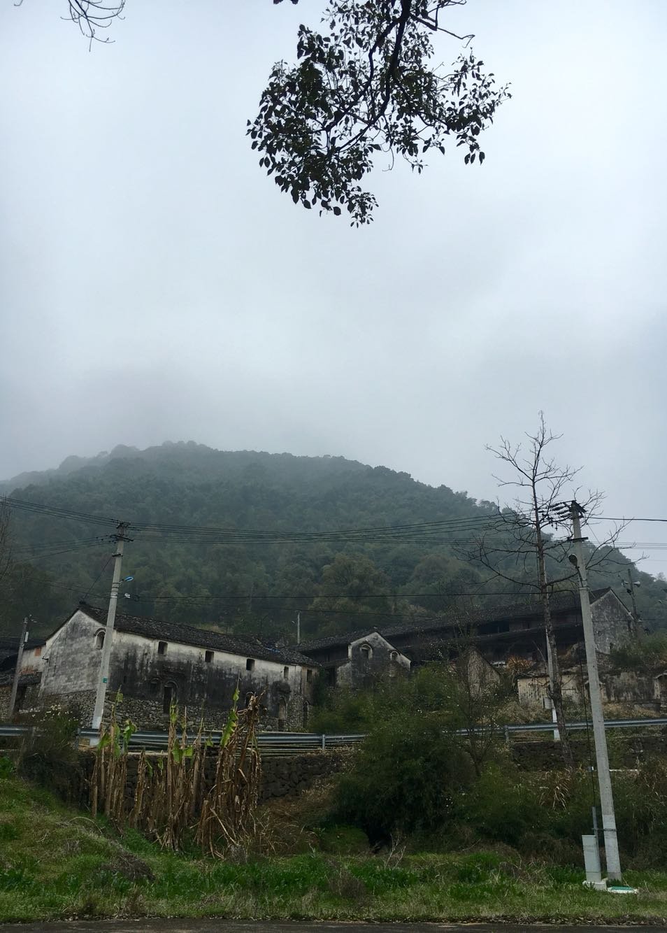 居厢乡天气预报更新通知