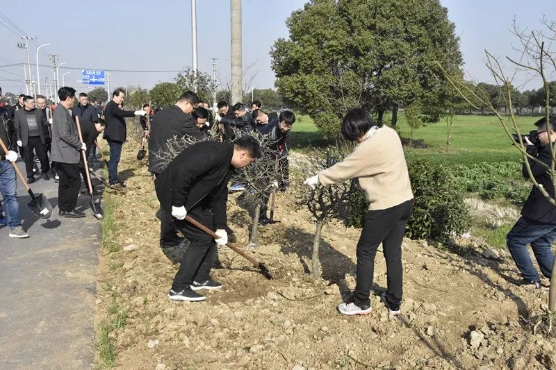 长草村委会领导概览最新一览表