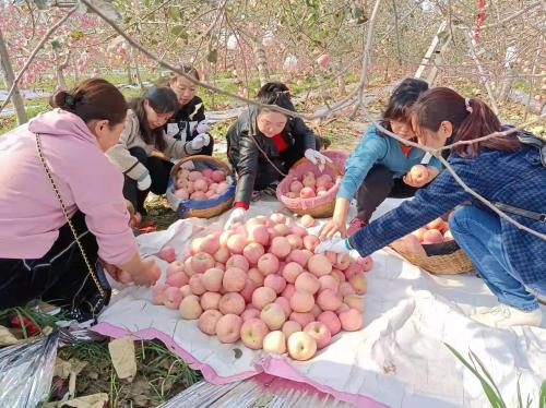 三原县发展和改革局领导团队概述