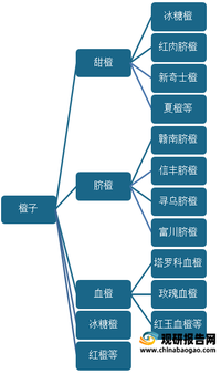 澳门4949,互动性执行策略评估_精简版9.762