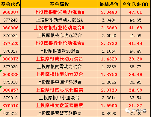 新奥门天天开将资料大全,绝对经典解释落实_标准版6.676