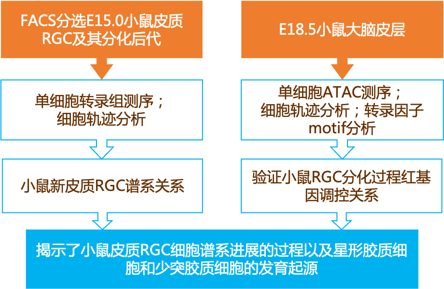 新奥门资料大全正版资料2024,决策资料解释落实_标准版90.65.32