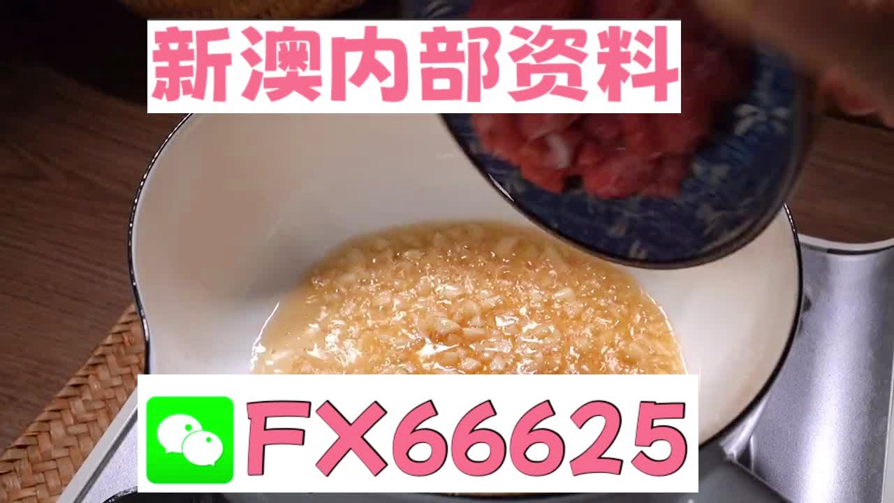 新澳门精准10码中特,实用性执行策略讲解_特别版2.336