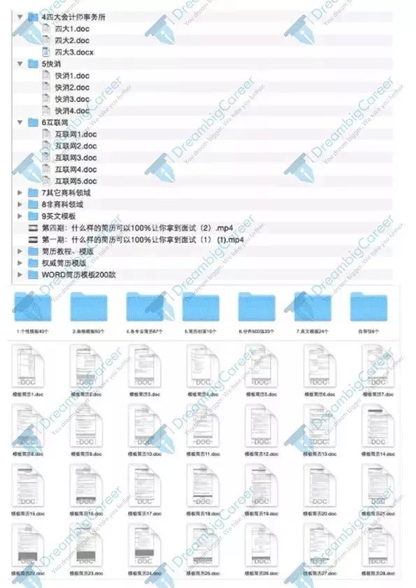 新澳内部资料精准大全,整体规划执行讲解_win305.210