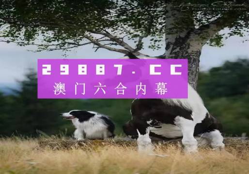 澳门跑狗,准确资料解释落实_专属款51.506