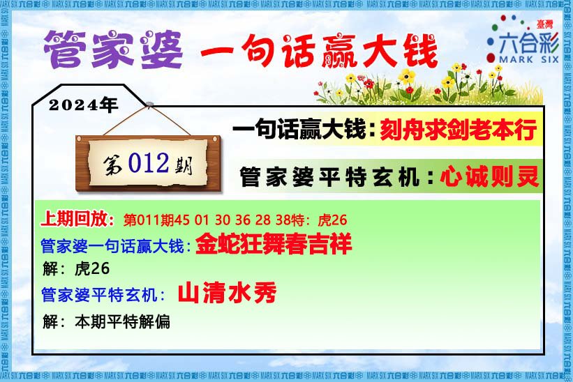 2o24年管家婆一肖中特,动态调整策略执行_豪华版180.300