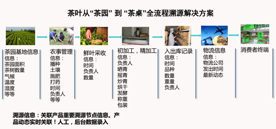 黄大仙三期内必开一肖,数据分析驱动解析_经典款69.606