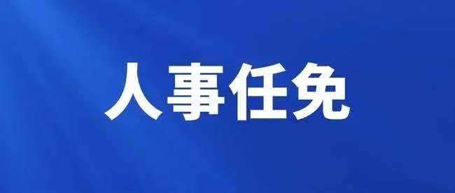 2024年11月3日 第8页