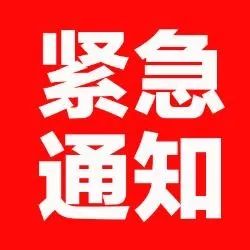 引领新时代的变革与突破，今日最新消息速递