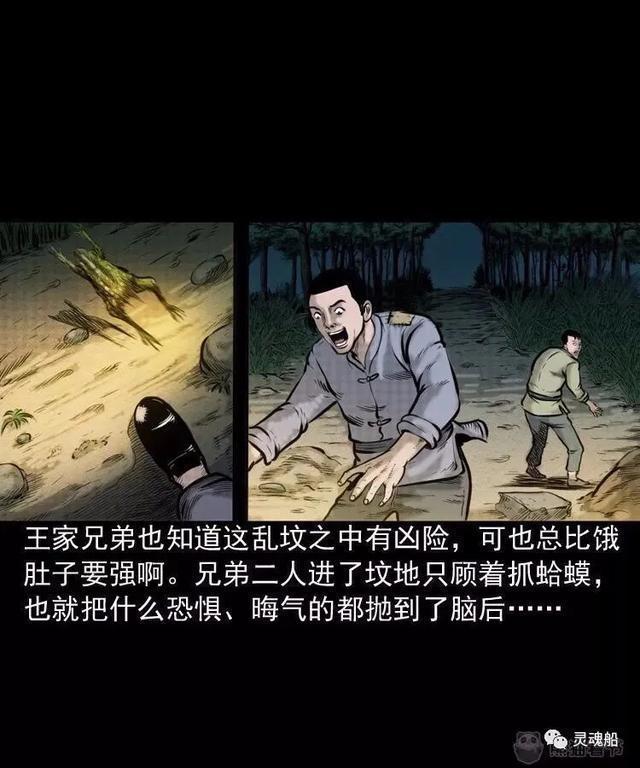 熊猫看书最新版下载，阅读新时代，畅享便捷体验