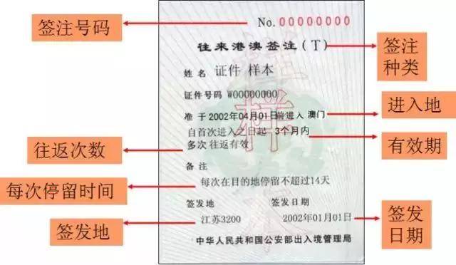 新澳门免费资料大全历史记录查询,经济性执行方案剖析_交互版3.688