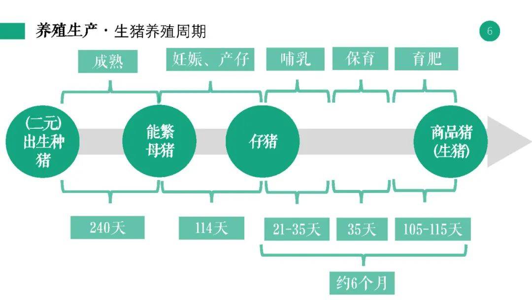 亲吻的双鱼 第3页