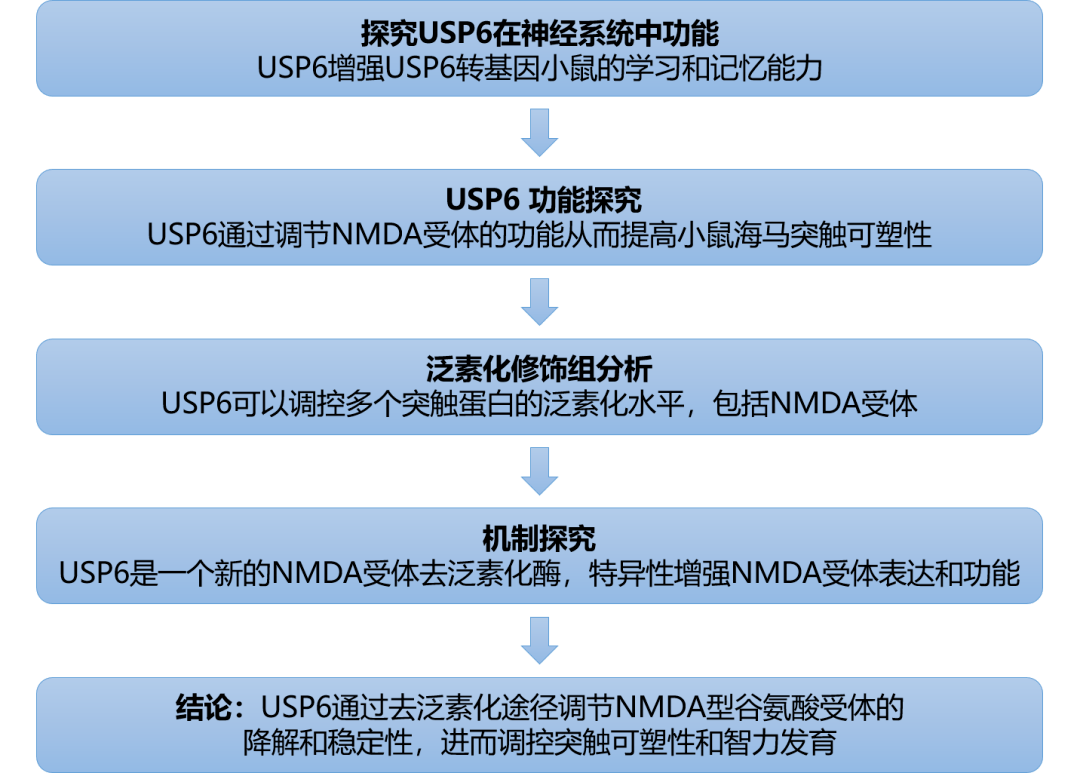 新奥资料免费精准,稳定性策略解析_安卓19.347