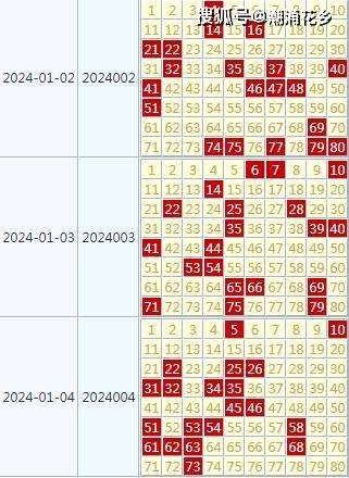 2024澳门天天开好彩大全开奖记录走势图,实践评估说明_ChromeOS96.901