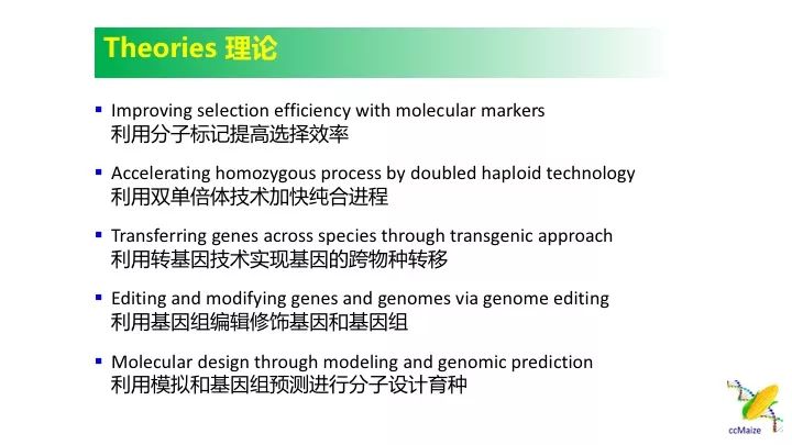 澳门精准的资料大全192集,快速解答设计解析_挑战款91.733