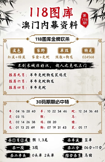 新澳精准资料免费提供221期,全面理解执行计划_特别版3.363