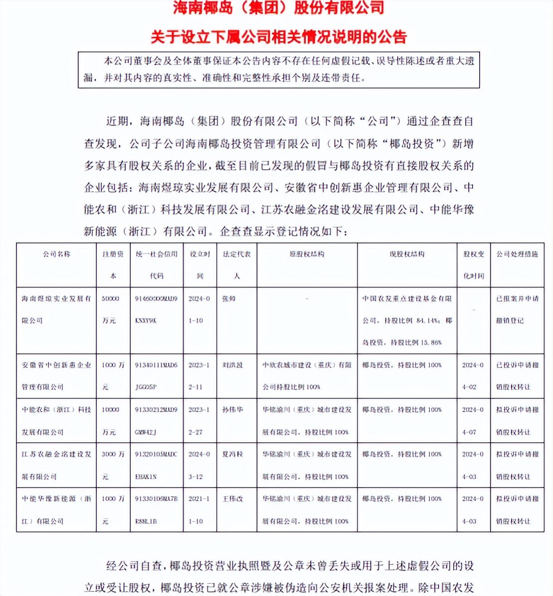 海南新港岛控股集团最新消息深度解读