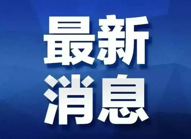 引领变革，塑造未来，最新局势分析与展望