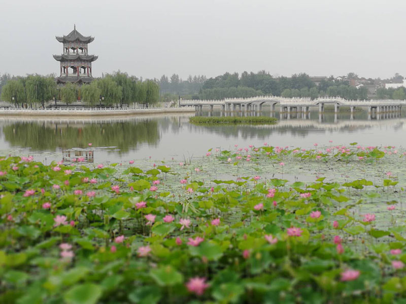 临邑凤鸣湖最新动态，揭开水域新面貌的序幕