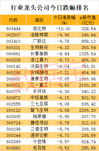 新奥门2024年资料大全官家婆,确保成语解释落实的问题_增强版8.317