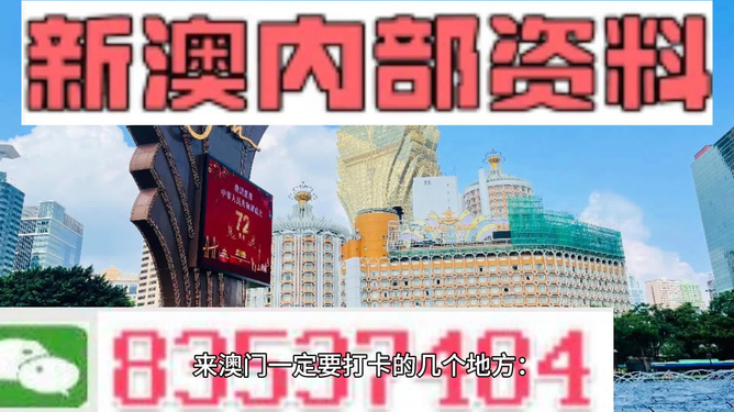 新澳内部资料精准一码,安全执行策略_网红版77.824