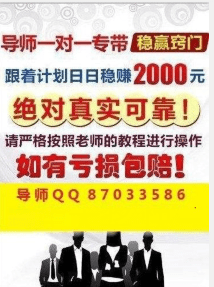 2024新澳门天天彩资料大全,高速解析方案响应_复古版21.515