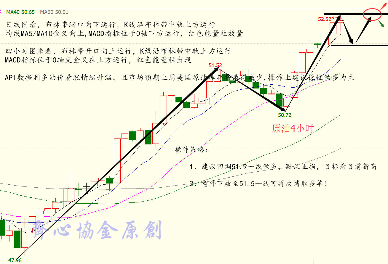 2024澳门特马今晚开奖240期,详细数据解释定义_轻量版65.410