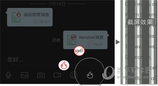 管家婆一码一肖正确,数据驱动方案实施_3DM38.313