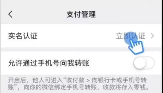 阳谷小姐微信最新动态与热点聚焦