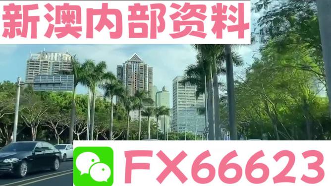 新澳精准资料大全免费,整体执行讲解_U82.102