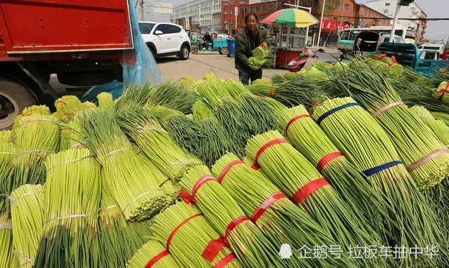 江苏蒜薹最新价格行情分析