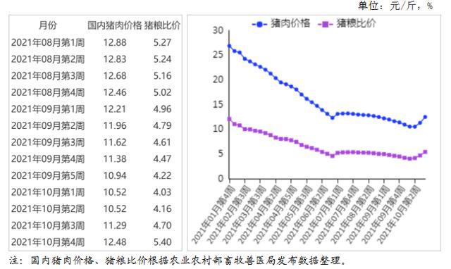 生猪价格最新行情分析与走势预测