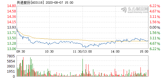 共进股份股票最新分析概览