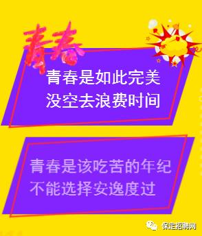 保定最新兼职招聘信息总览