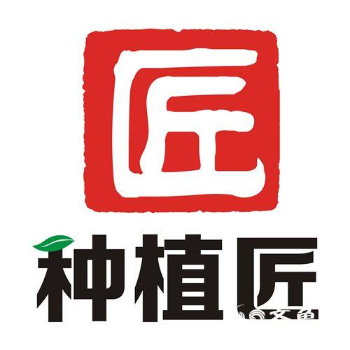 山东农科频道最新节目概览与亮点解析