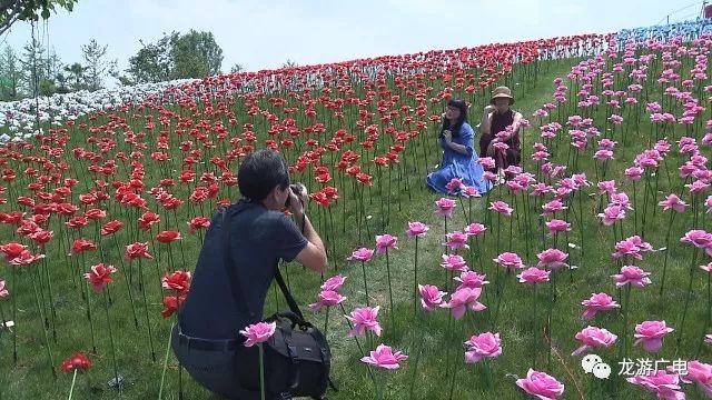 探寻神秘世界的奇妙旅程，龙游花丛最新章节