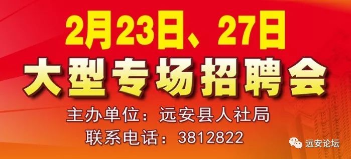 安县最新招聘信息总览