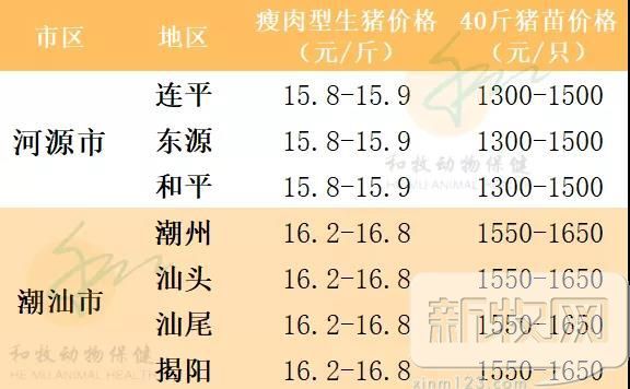 揭西生猪最新价格及市场走势与影响因素分析概览