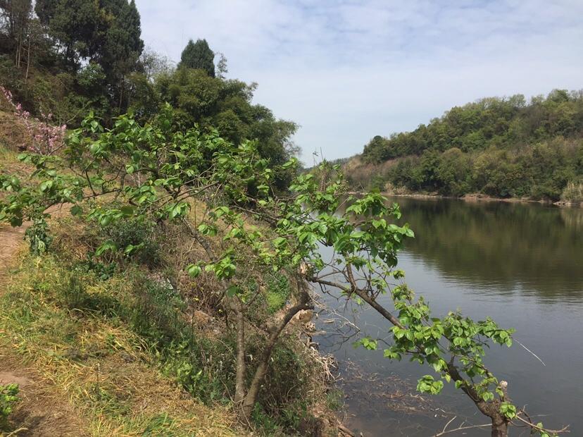 山门寺水库钓鱼，最新动态与深度体验