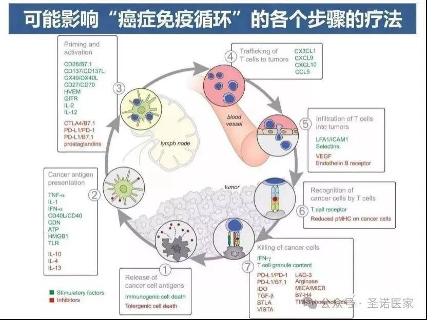 肿瘤治疗新纪元，前沿科技与传统疗法的融合探索