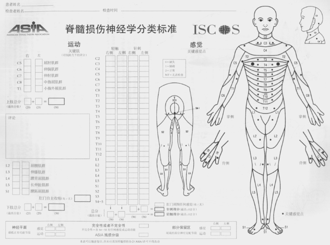 国际脊髓损伤新突破，重塑康复之路的希望曙光