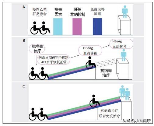 TV98Top，潮流引领者的视听新体验