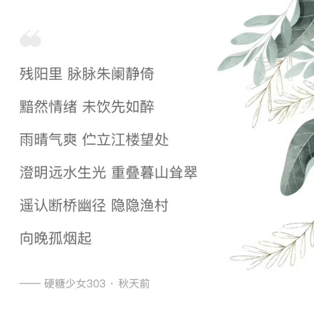 温柔歌词唤醒心灵旋律，最新歌曲中的心灵触摸