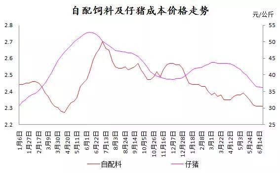 仔猪市场最新动态解析，行情走势分析与未来预测