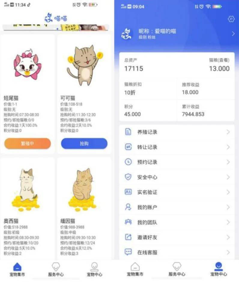 最新猫咪app破解版涉黄问题深度探讨与警示