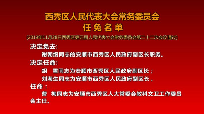 西秀区小学人事任命揭晓，引领未来教育新篇章启动