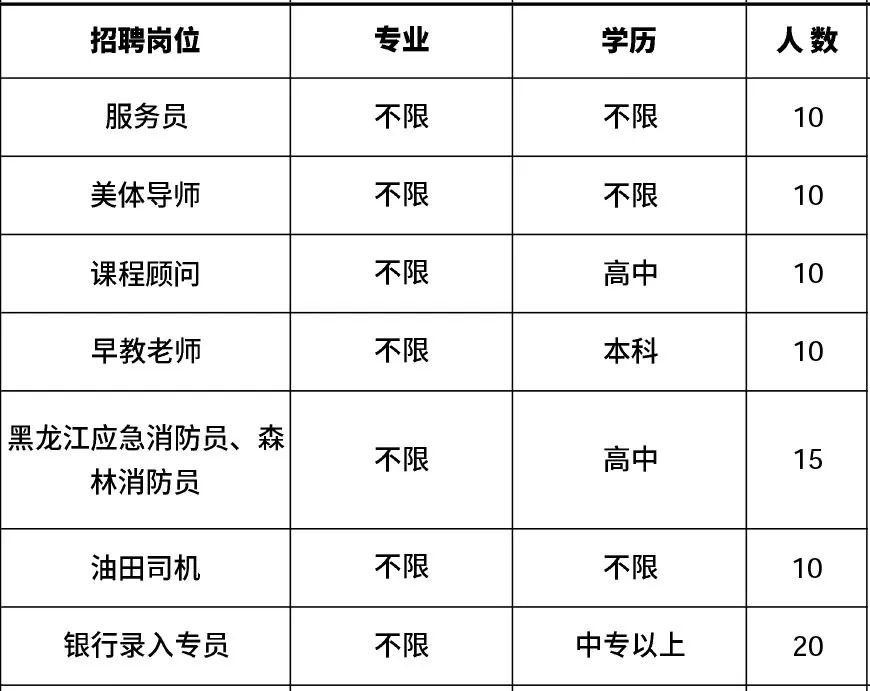 肇州县小学最新招聘启事概览