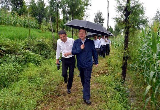 黄羊村委会天气预报更新通知