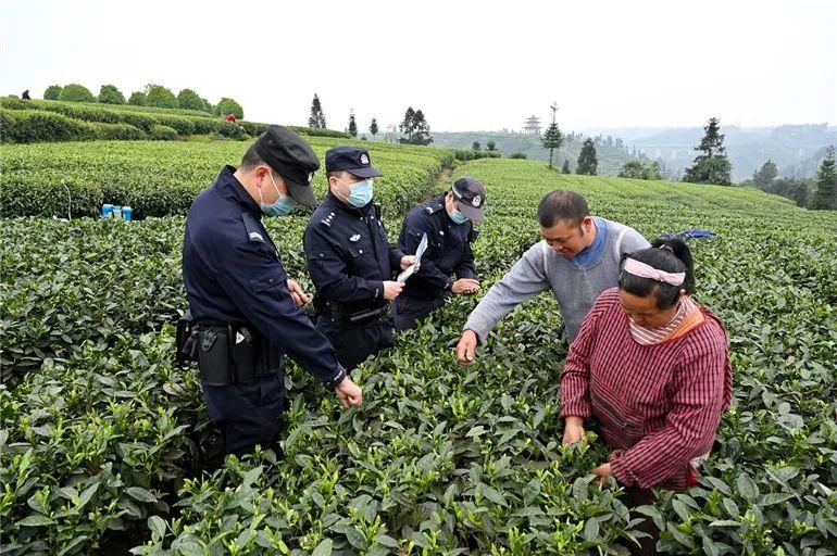 名山县公安局推动警务现代化项目，提升社会治安水平